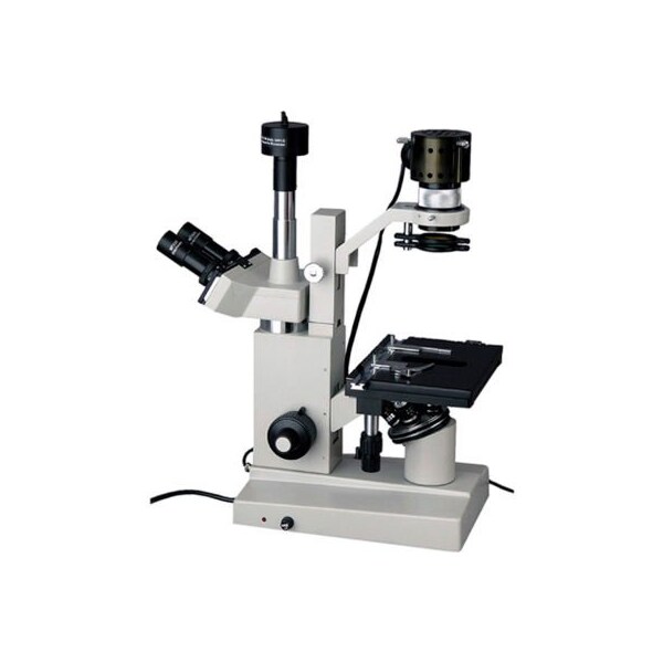 AmScope IN200TB-5MA 40X-800X Inverted Tissue Culture Microscope with 5MP Digital Camera